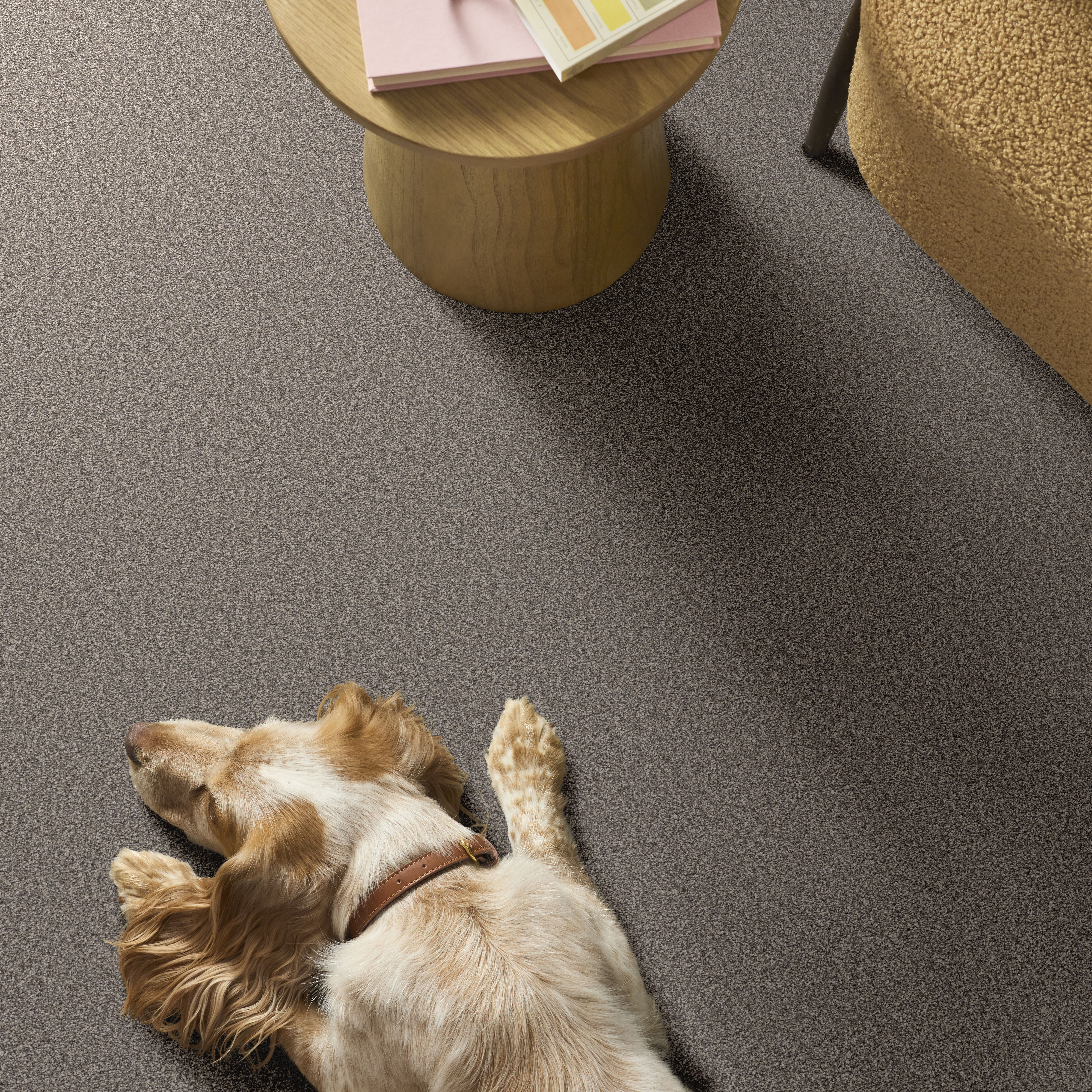 GRAND INFLUENCE III EARTH TONE ROOM