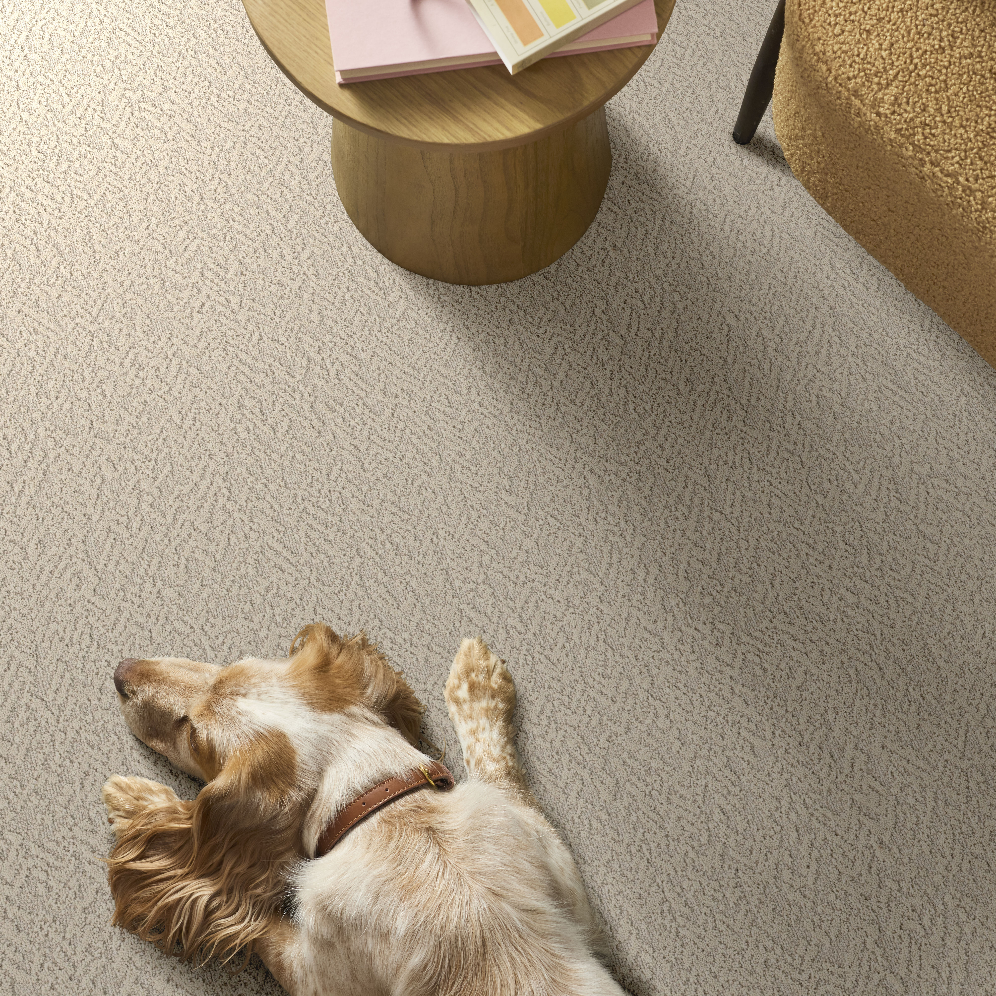 JOYFUL SPIRIT WHISKERS ROOM