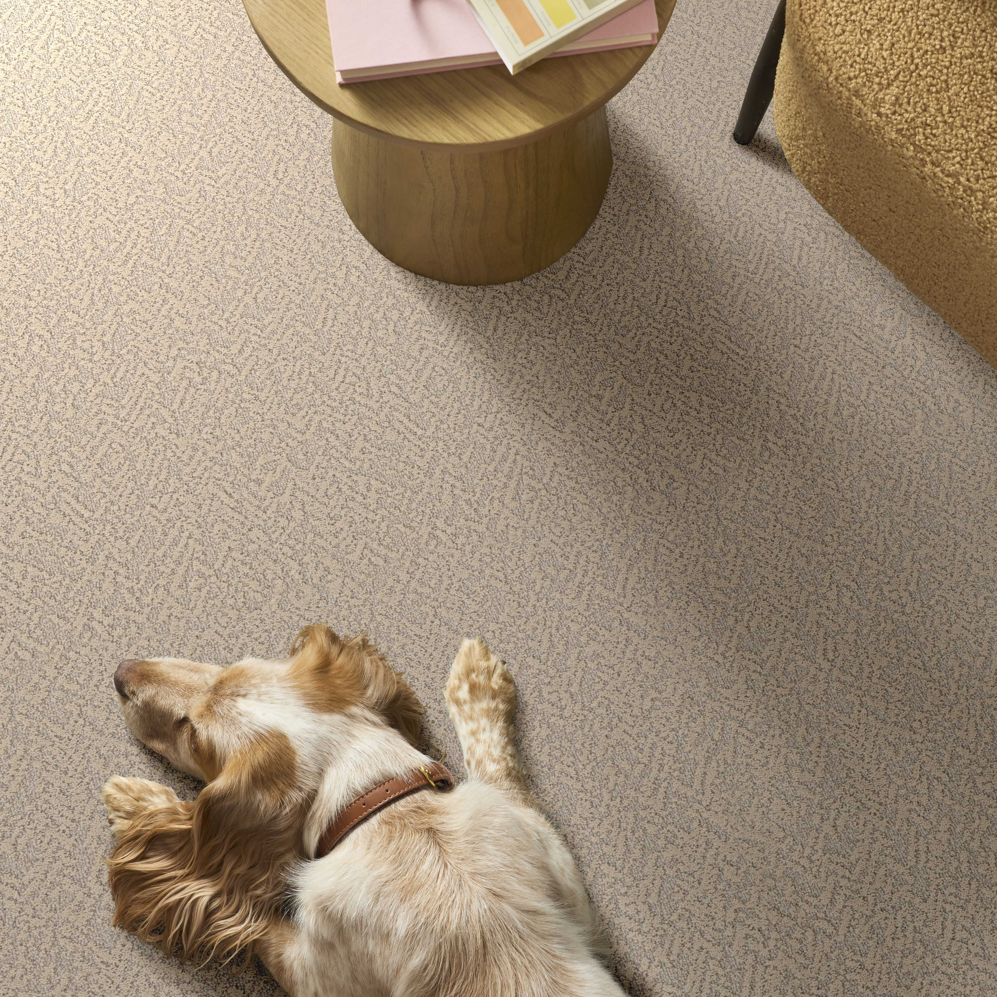 JOYFUL SPIRIT DANDELION ROOM