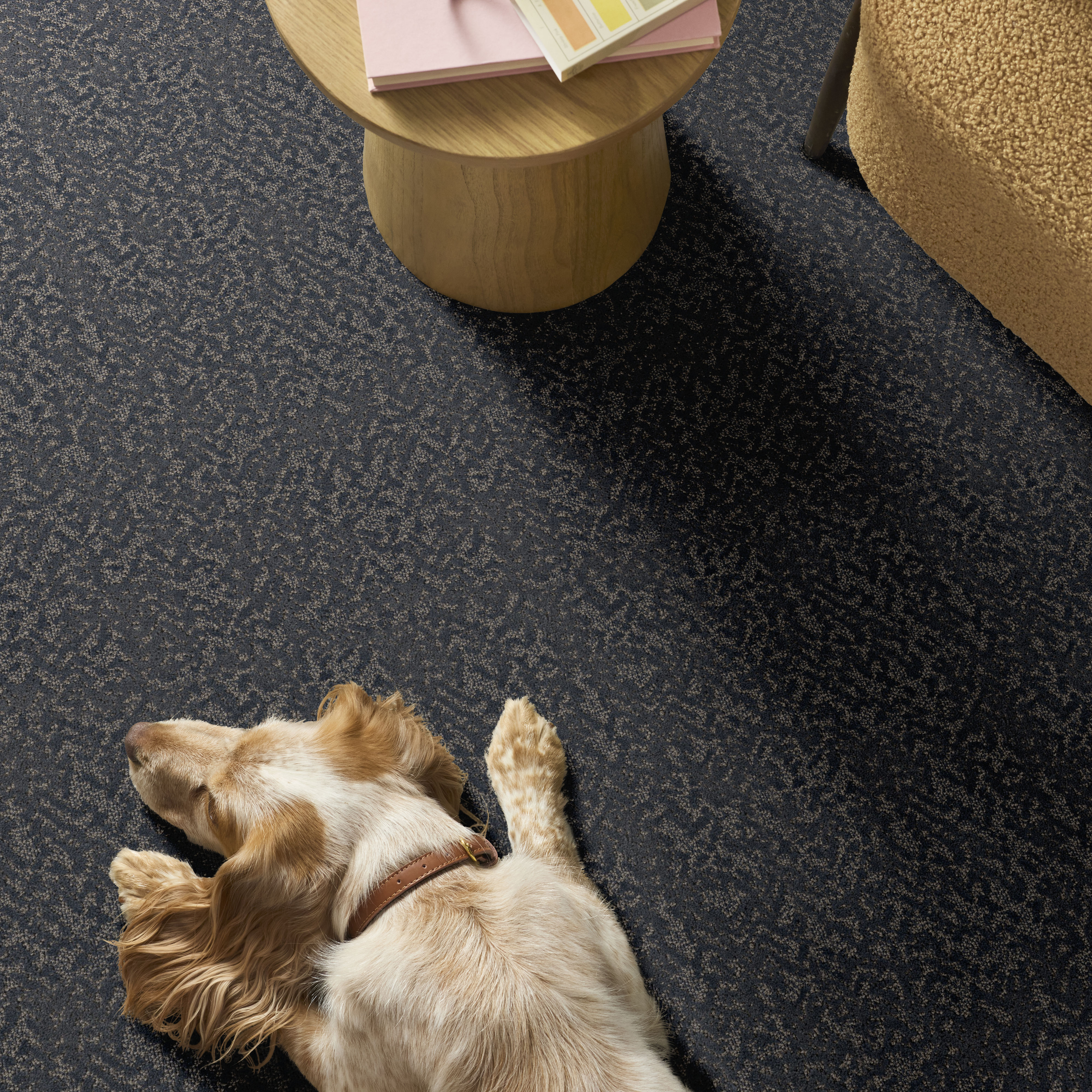 JOYFUL SPIRIT STARRY SKY ROOM