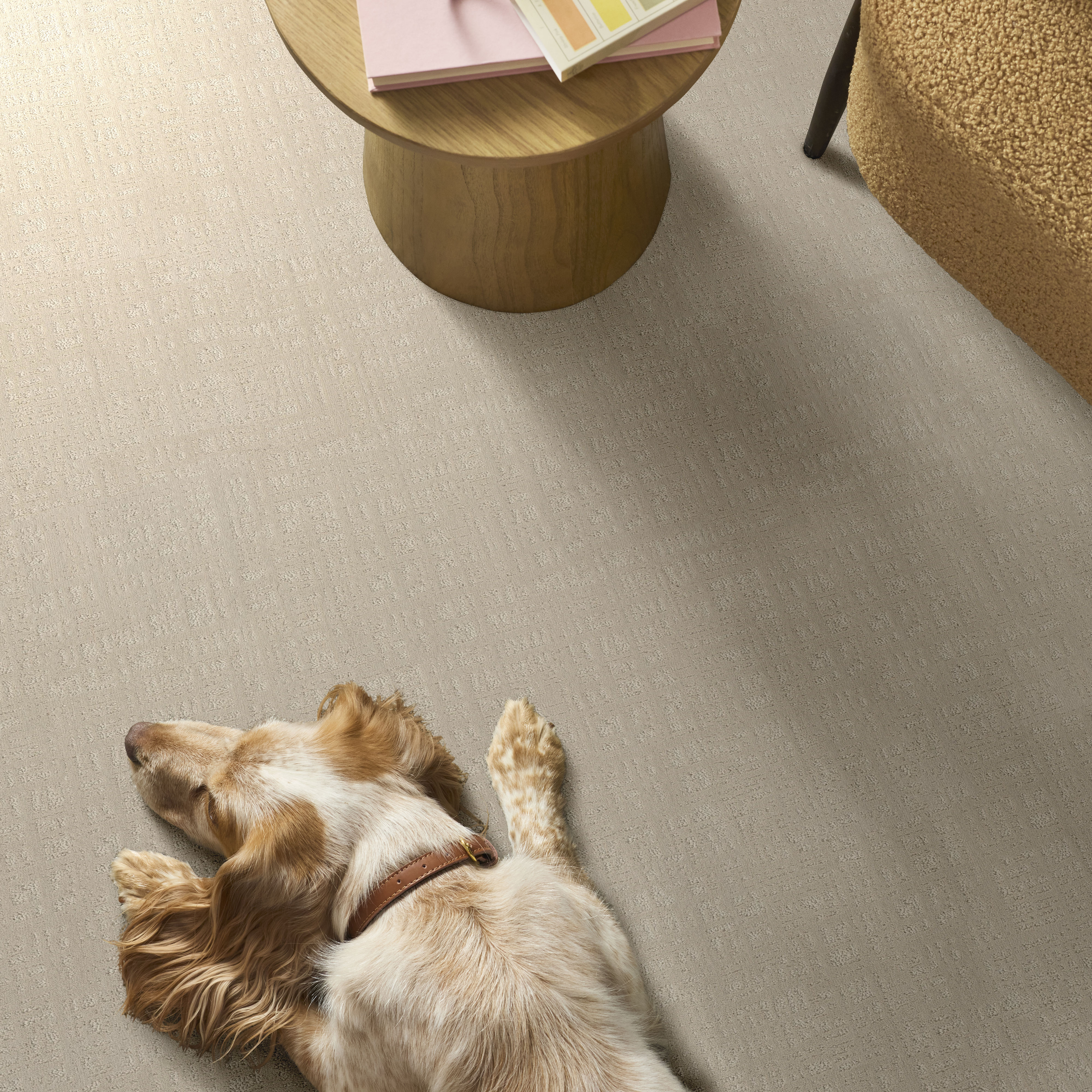 NATURAL INSTINCT SAND ROOM