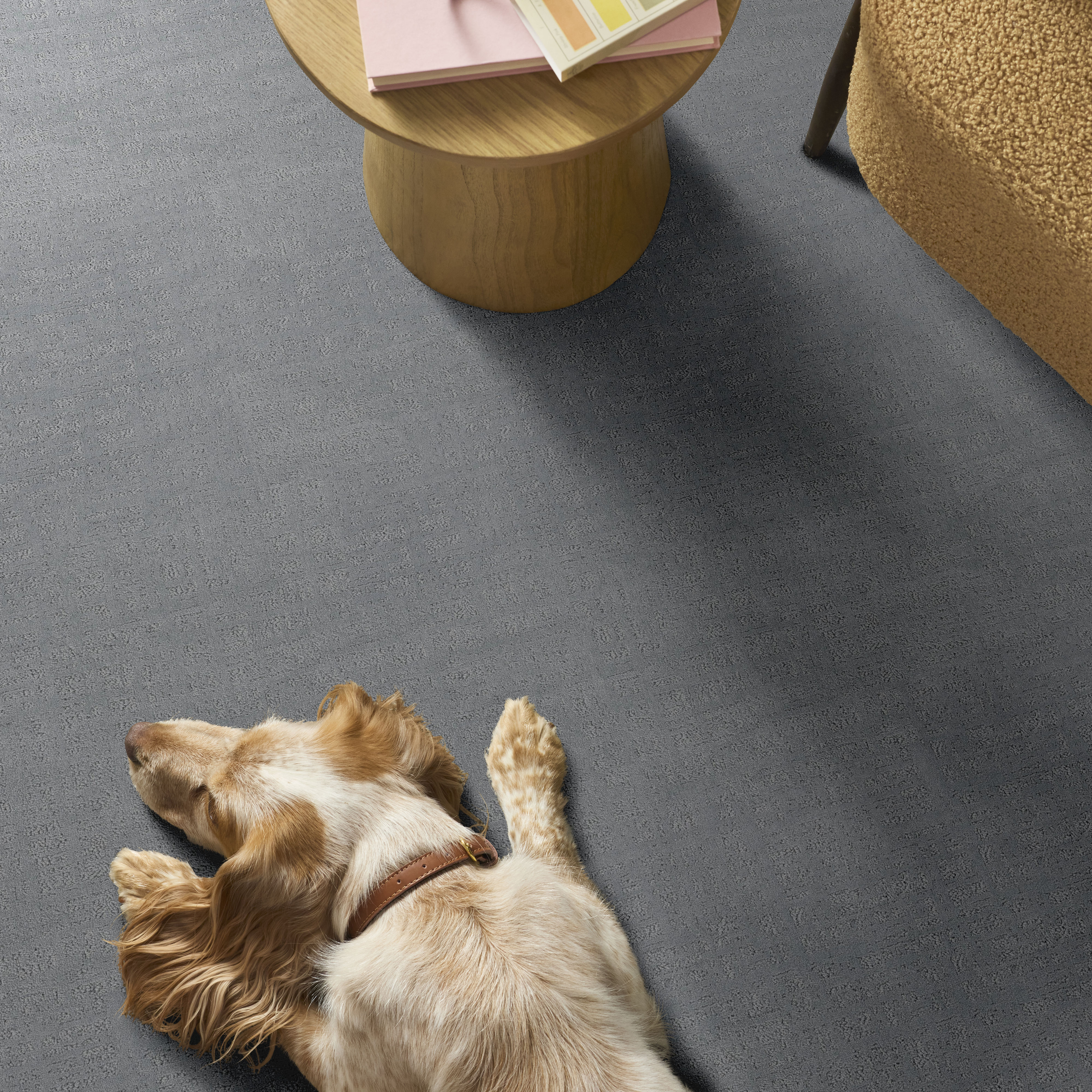 NATURAL INSTINCT COAST ROOM