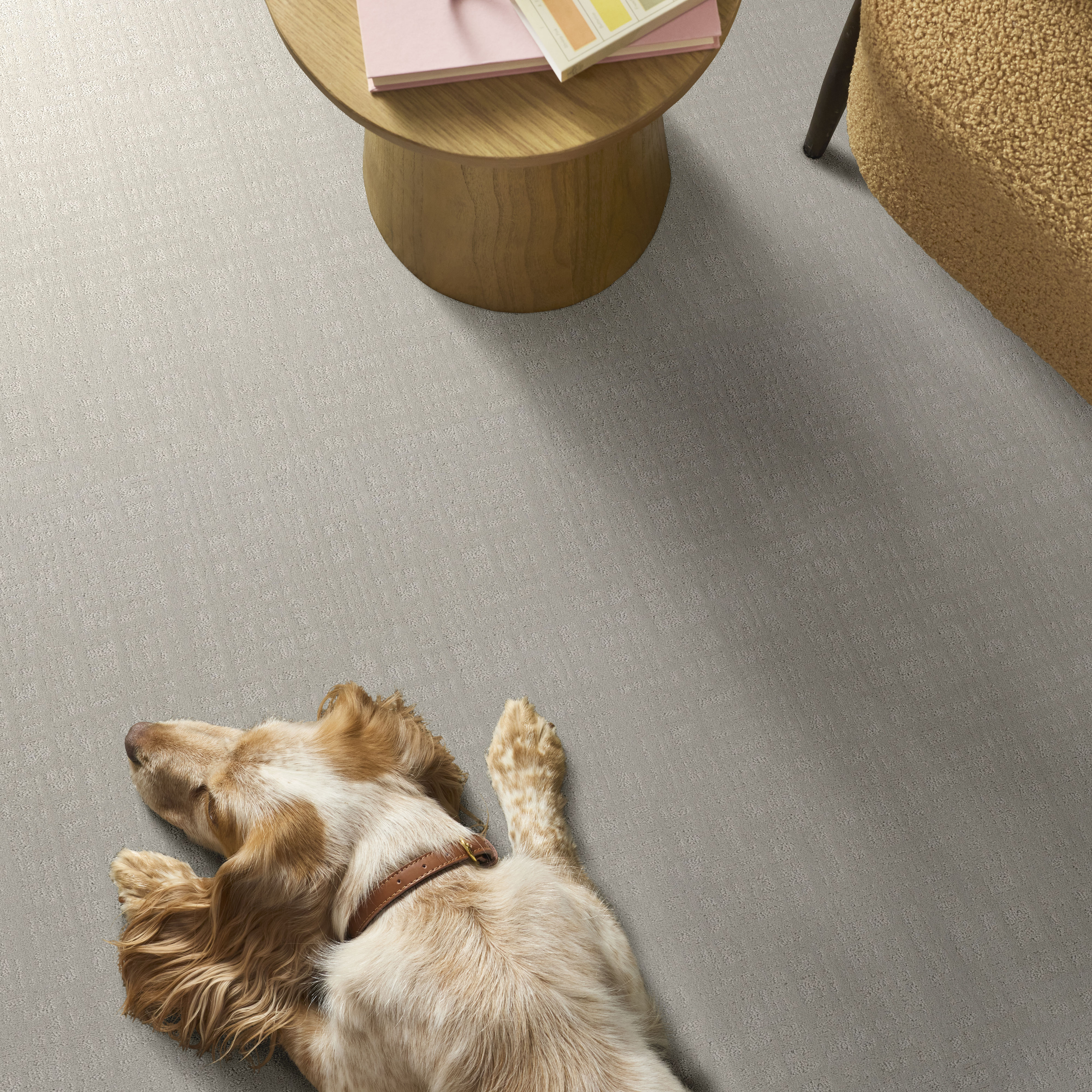 NATURAL INSTINCT ASH ROOM