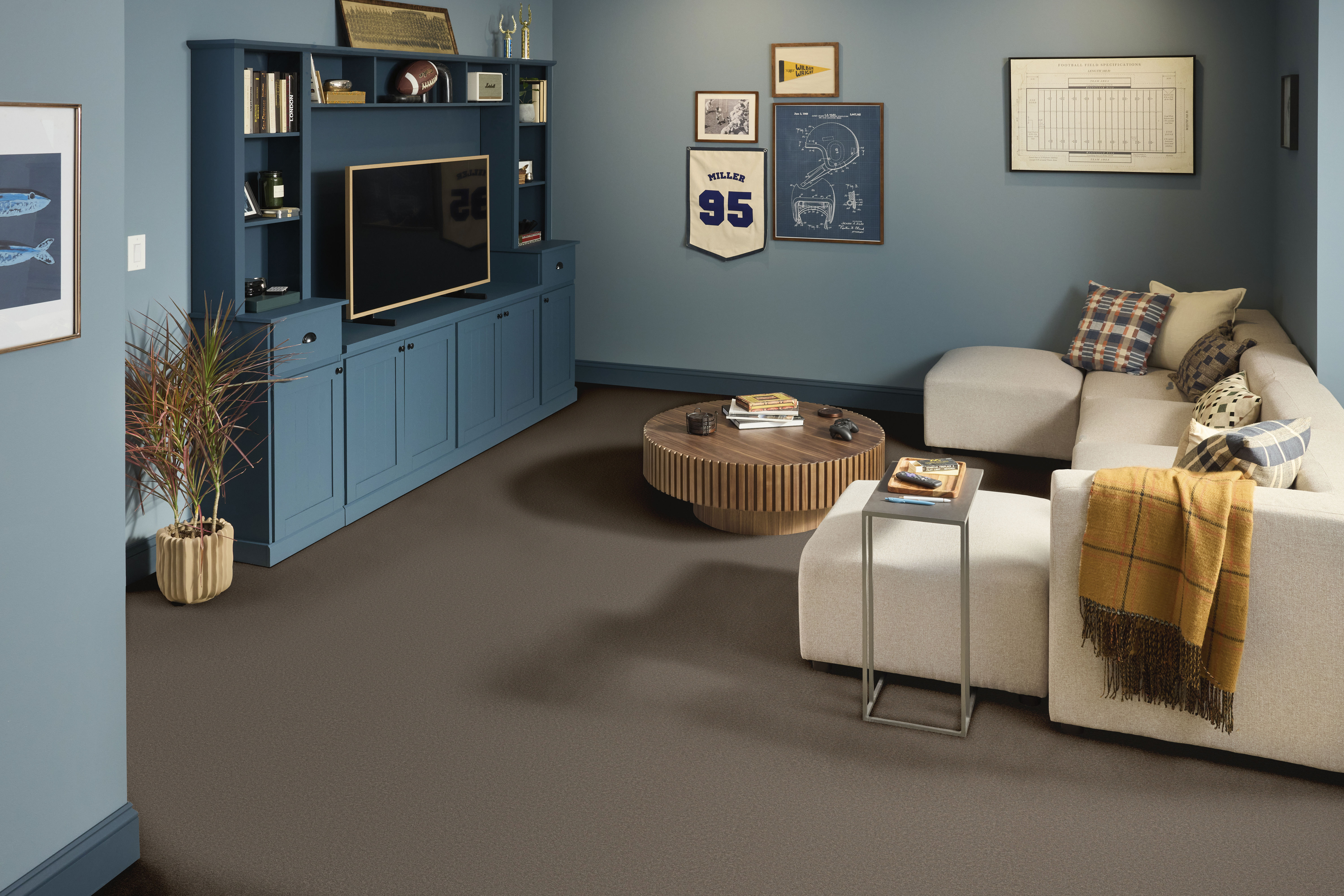 SMOOTH TONE BLUE RIDGELINE ROOM