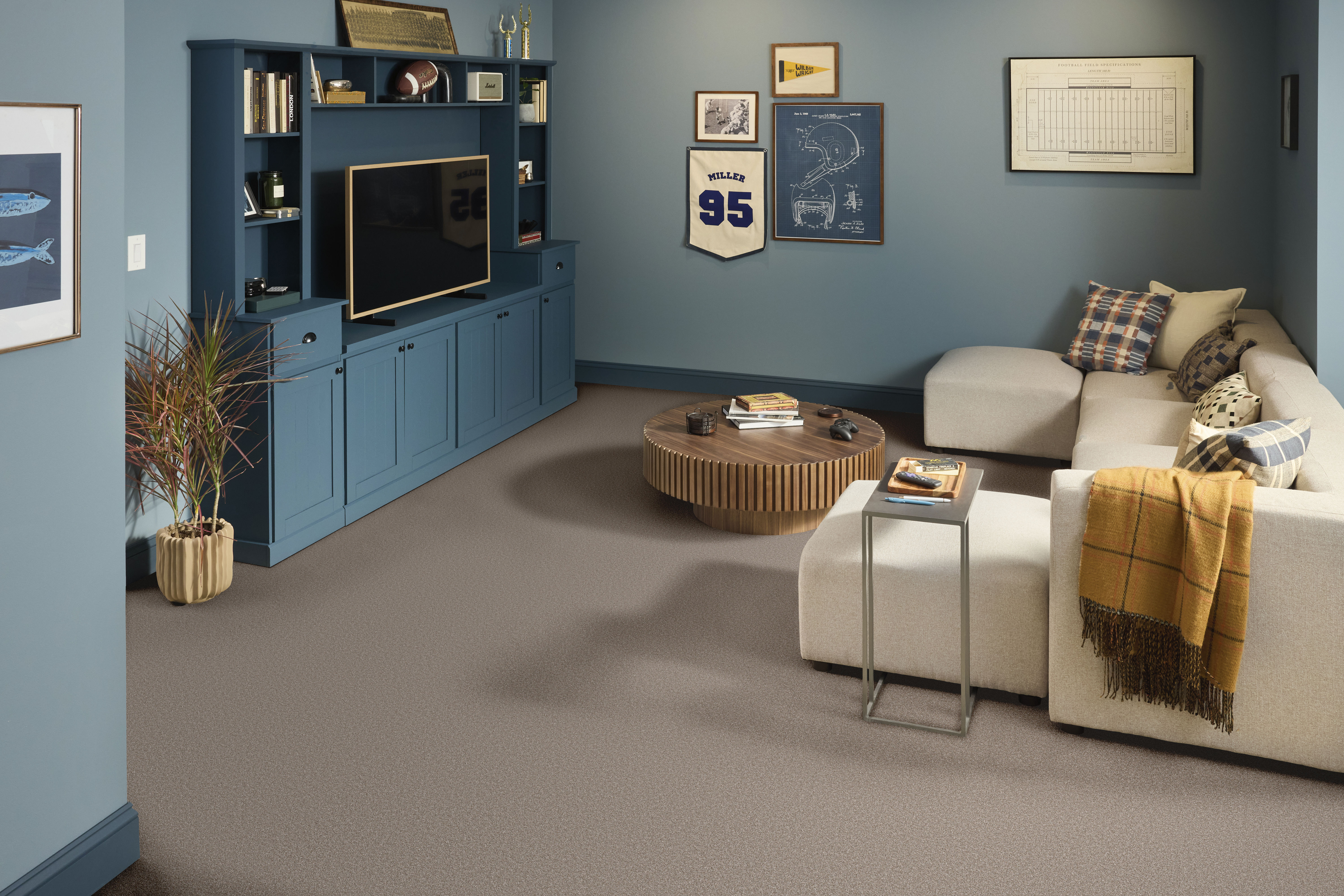 CLASSIC TONE BLUE RIDGELINE ROOM