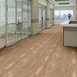 METROPOLIS-6-5M216-FIVE-POINTS-00235-room-image