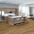 METROPOLIS-6-5M216-BALTIMORE-06041-room-image