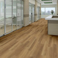 METROPOLIS-6-5M216-BALTIMORE-06041-room-image