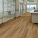 METROPOLIS-6-5M216-BALTIMORE-06041-room-image