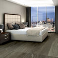 SYMBIOTIC-12-5M302-CARBON-00564-room-image