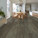 SYMBIOTIC-12-5M302-CARBON-00564-room-image