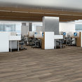 SYMBIOTIC-12-5M302-SPARROW-00568-room-image