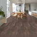 SYMBIOTIC-12-5M302-THICKET-05019-room-image