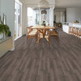 SYMBIOTIC-20-5M303-BRONZITE-07004-room-image