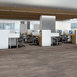 SYMBIOTIC-30-5M304-GREIGE-FAVIKEN-00170-room-image