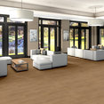 SYMBIOTIC-30-5M304-REED-00256-room-image