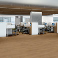 SYMBIOTIC-30-5M304-REED-00256-room-image