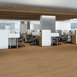 SYMBIOTIC-30-5M304-REED-00256-room-image