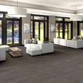 SYMBIOTIC-30-5M304-CARBON-00564-room-image