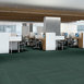 COLOR-RANGE-20-5M330-ARBOR-00360-room-image