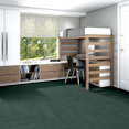 COLOR-RANGE-20-5M330-ARBOR-00360-room-image