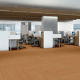 COLOR-RANGE-20-5M330-MANDARIN-00600-room-image