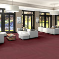 COLOR-RANGE-20-5M330-GARNET-00850-room-image
