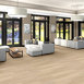 FRONTIER-PLUS-5M400-SPALTED-MAPLE-02084-room-image