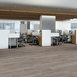 SETUP-5M402-GREY-CHESTNUT-07062-room-image
