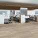 COMMONPLACE-5M507-VANILLA-01175-room-image