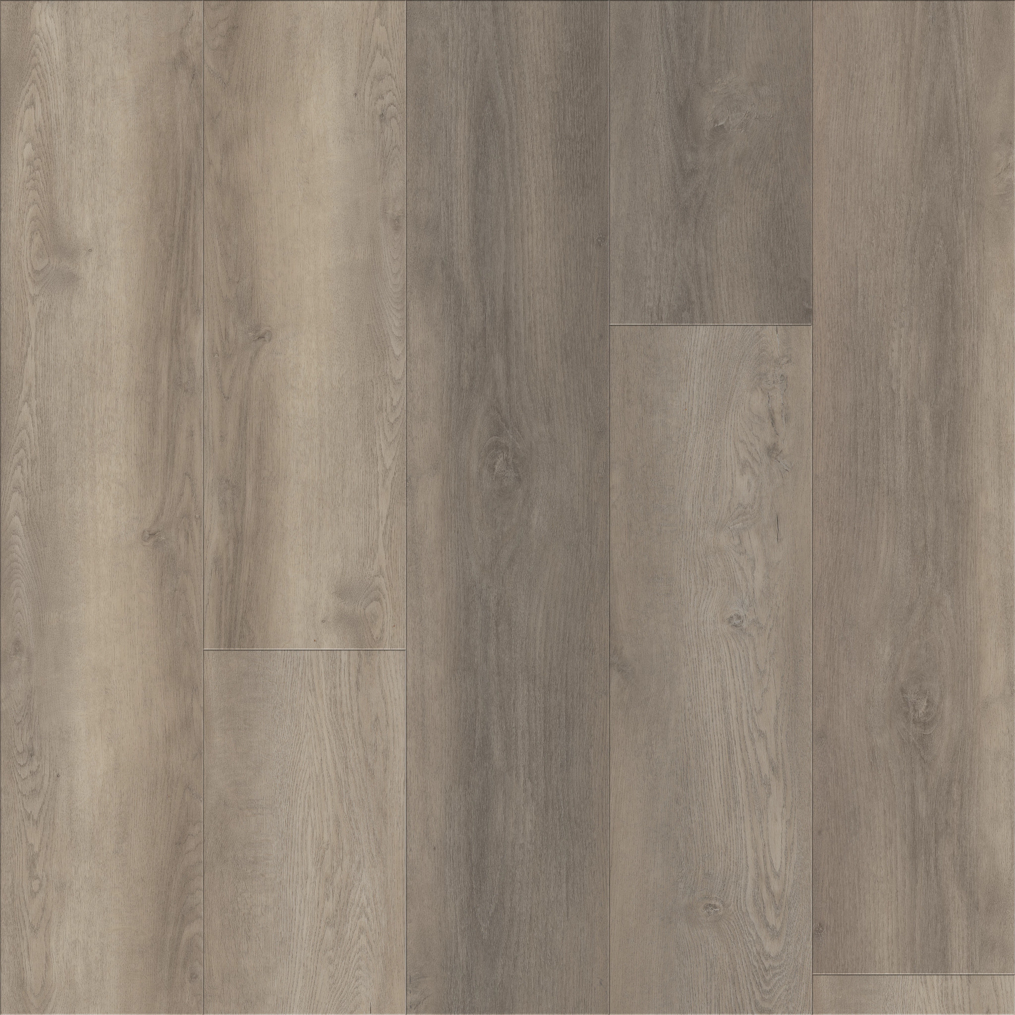 Unrivaled 9" - Aston Oak - 678CT_02902