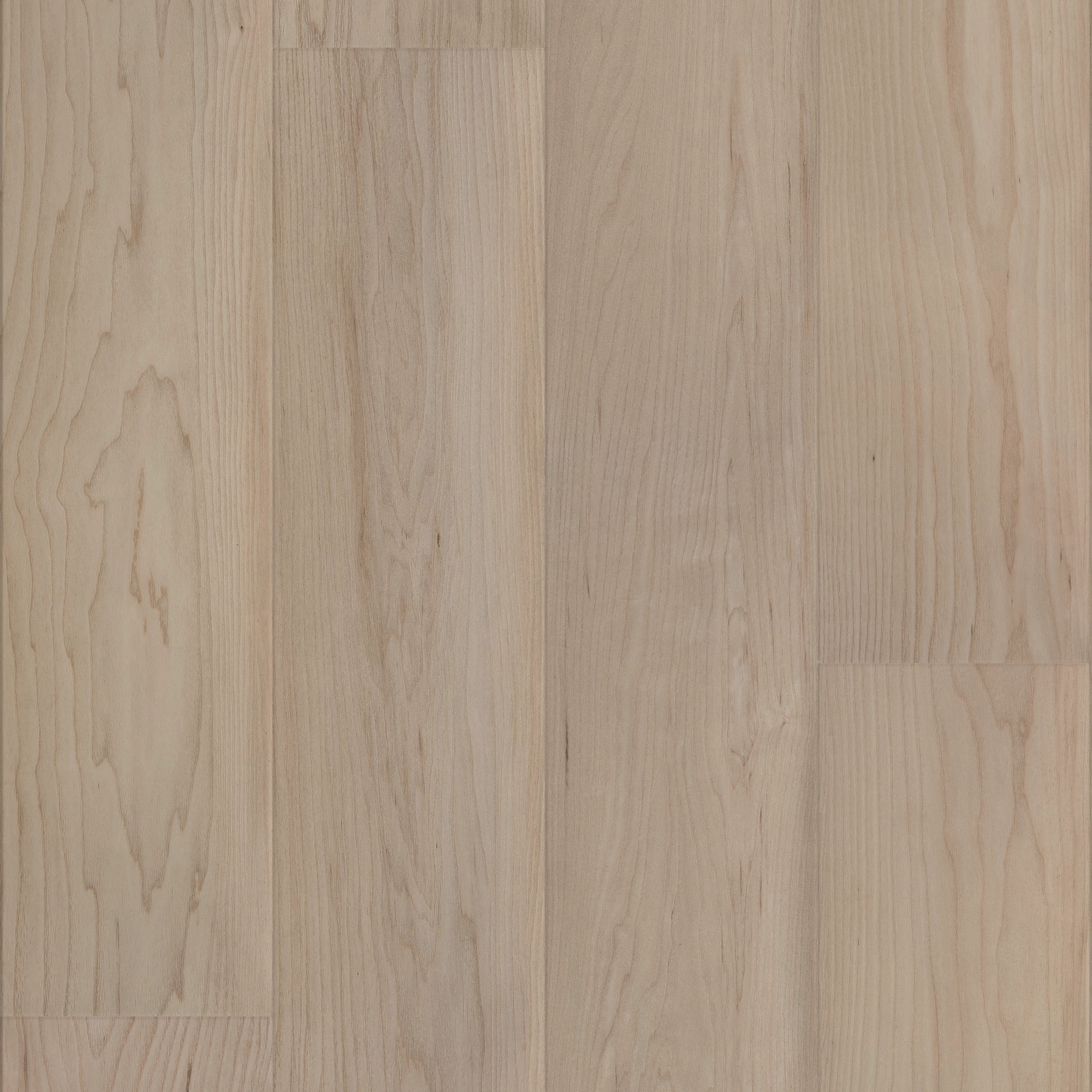 Atlas 9-Coastal Dune Maple-709CT_05114