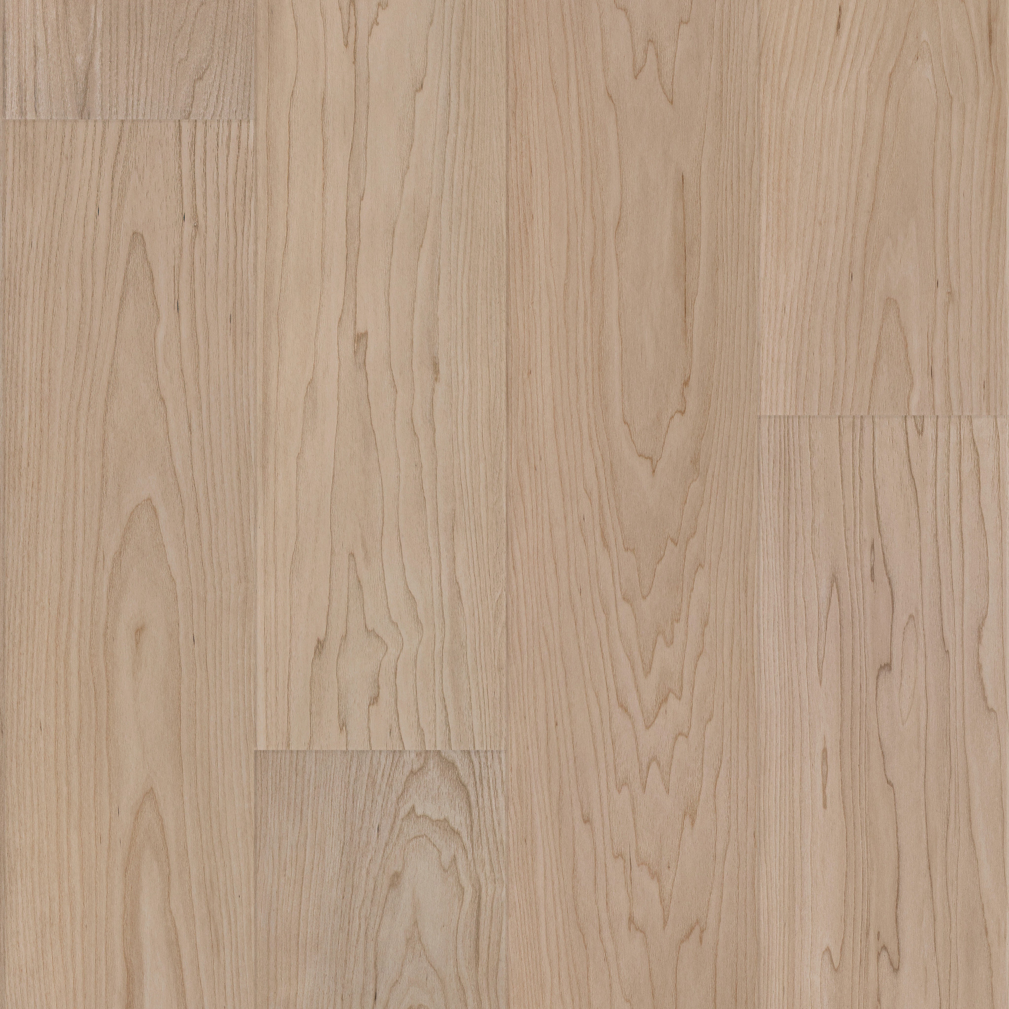 Atlas 9-Vanilla Grove Maple-709CT_08020