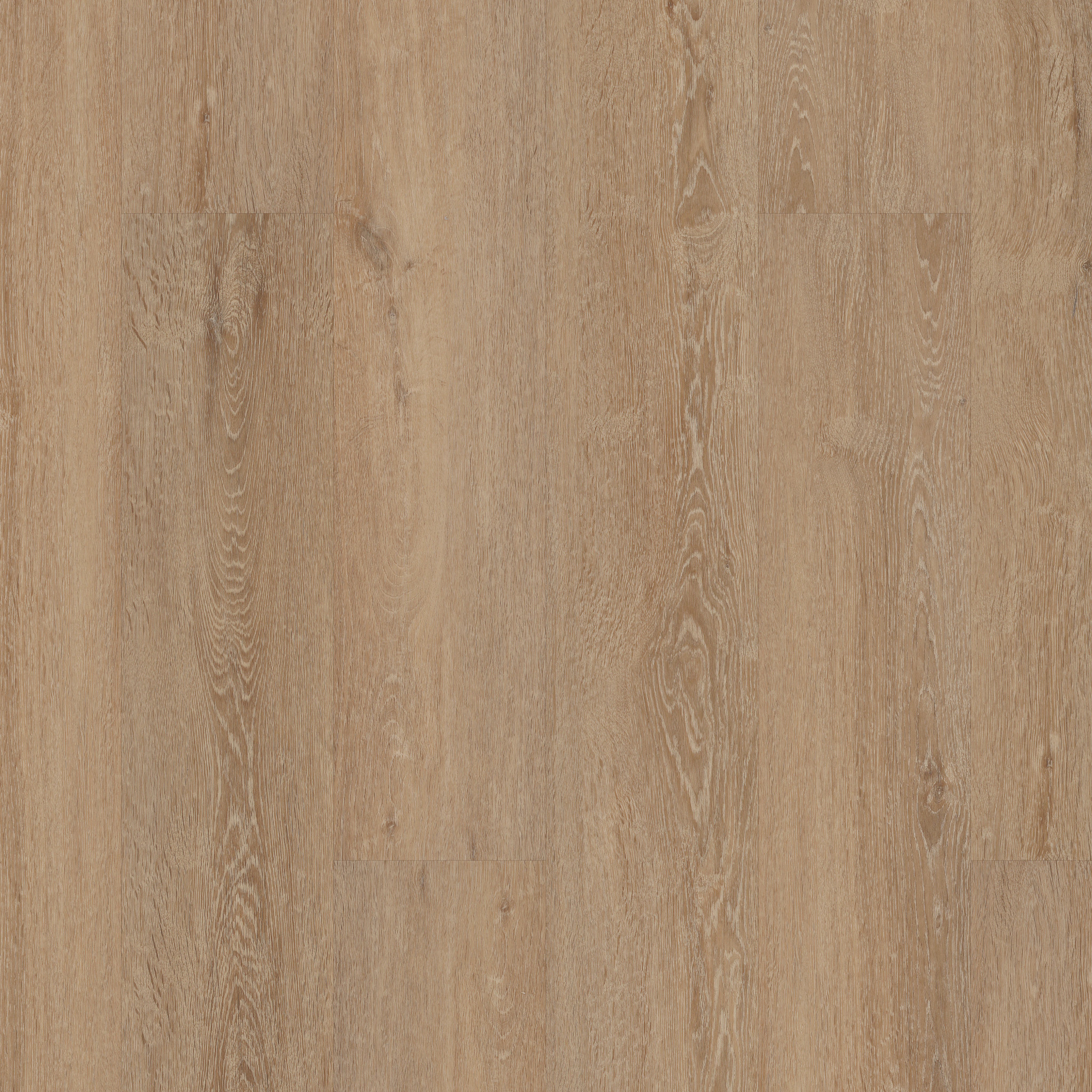 Excite Hd 7X60-Zawn Oak-735CT_04021