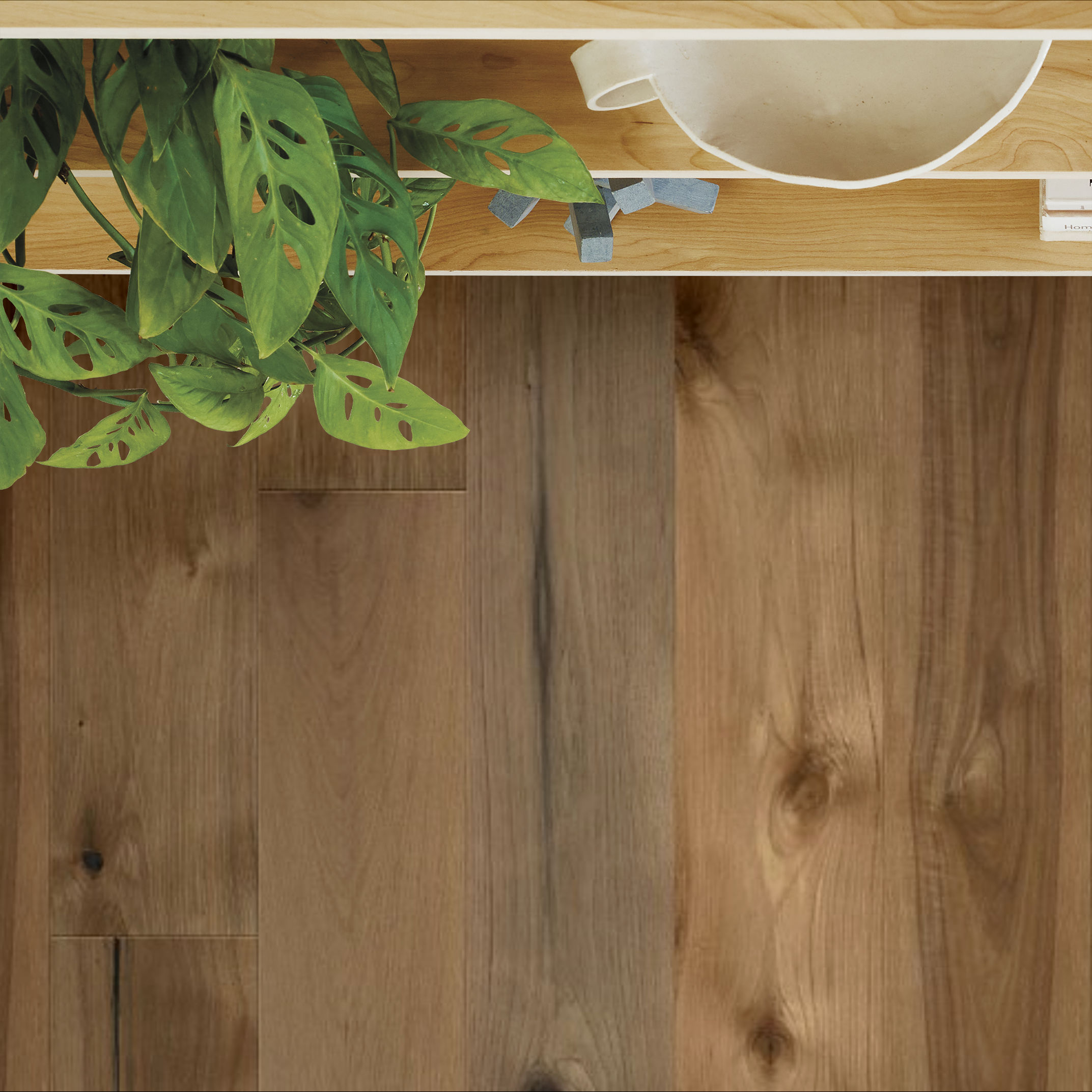 TRANSCENDENCE ABSOLUTE ROOM