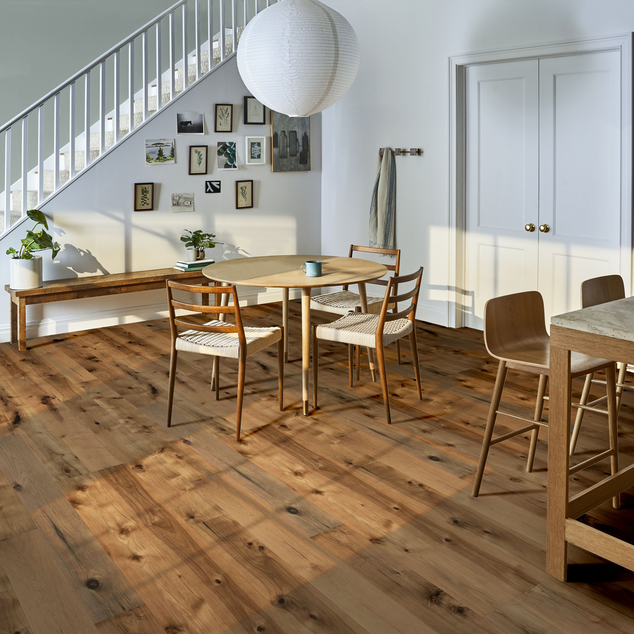 TRANSCENDENCE ABSOLUTE ROOM