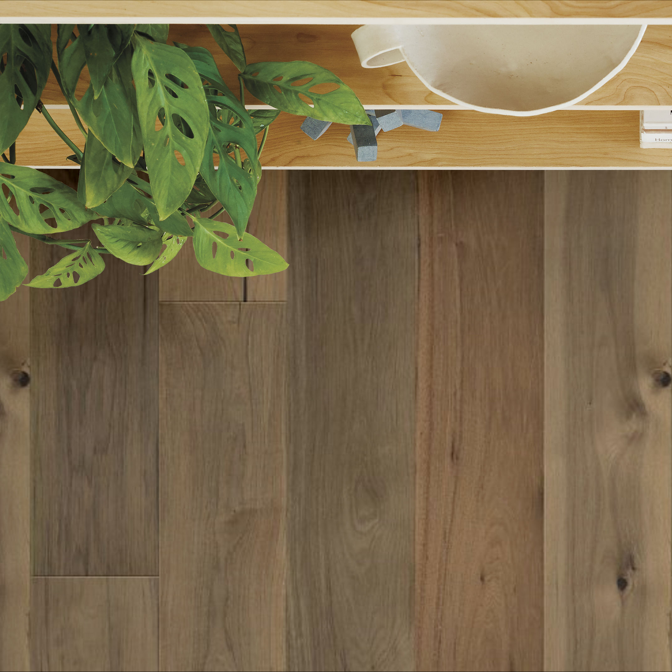 TRANSCENDENCE EPITOME ROOM