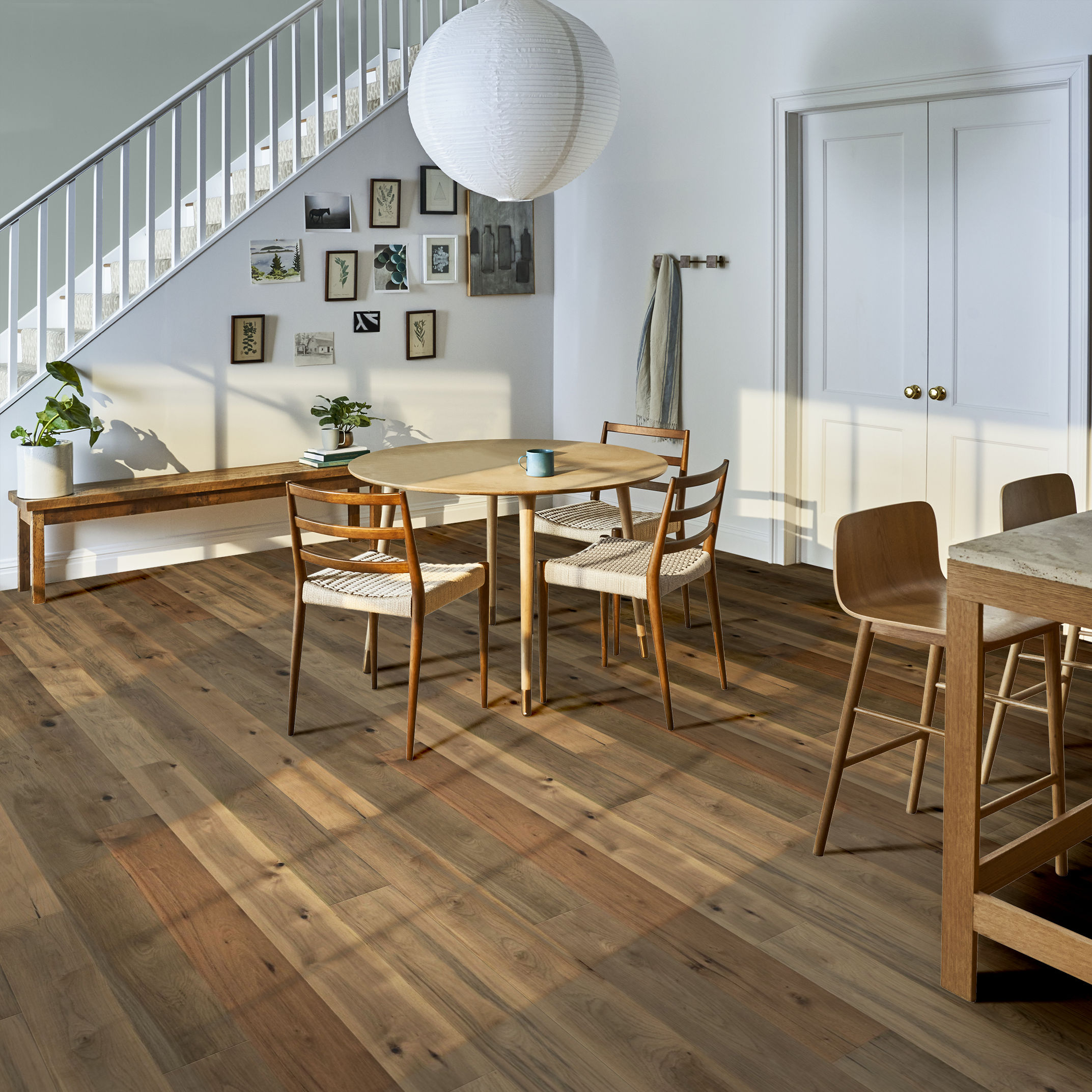 TRANSCENDENCE EPITOME ROOM