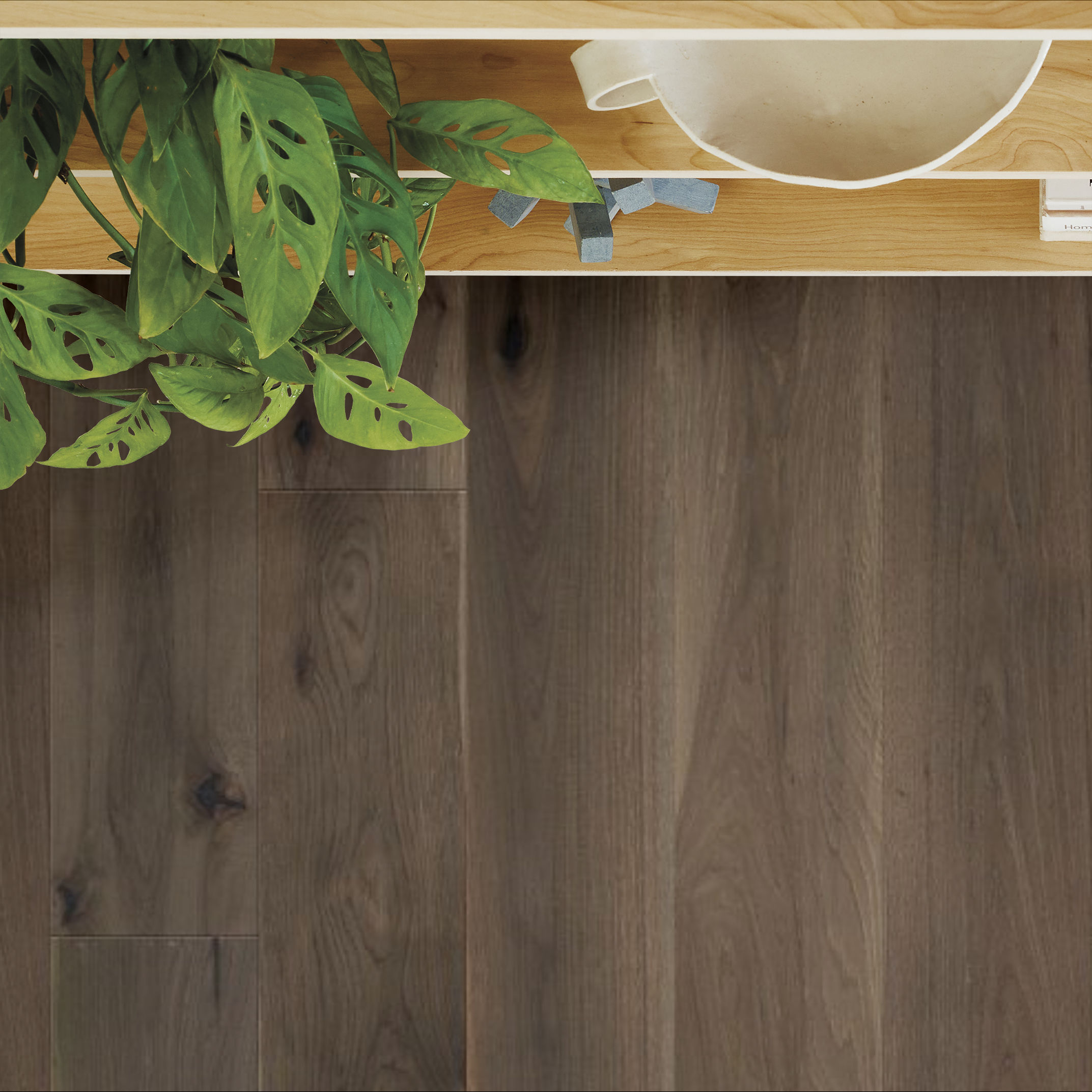 TRANSCENDENCE ELEVATION ROOM