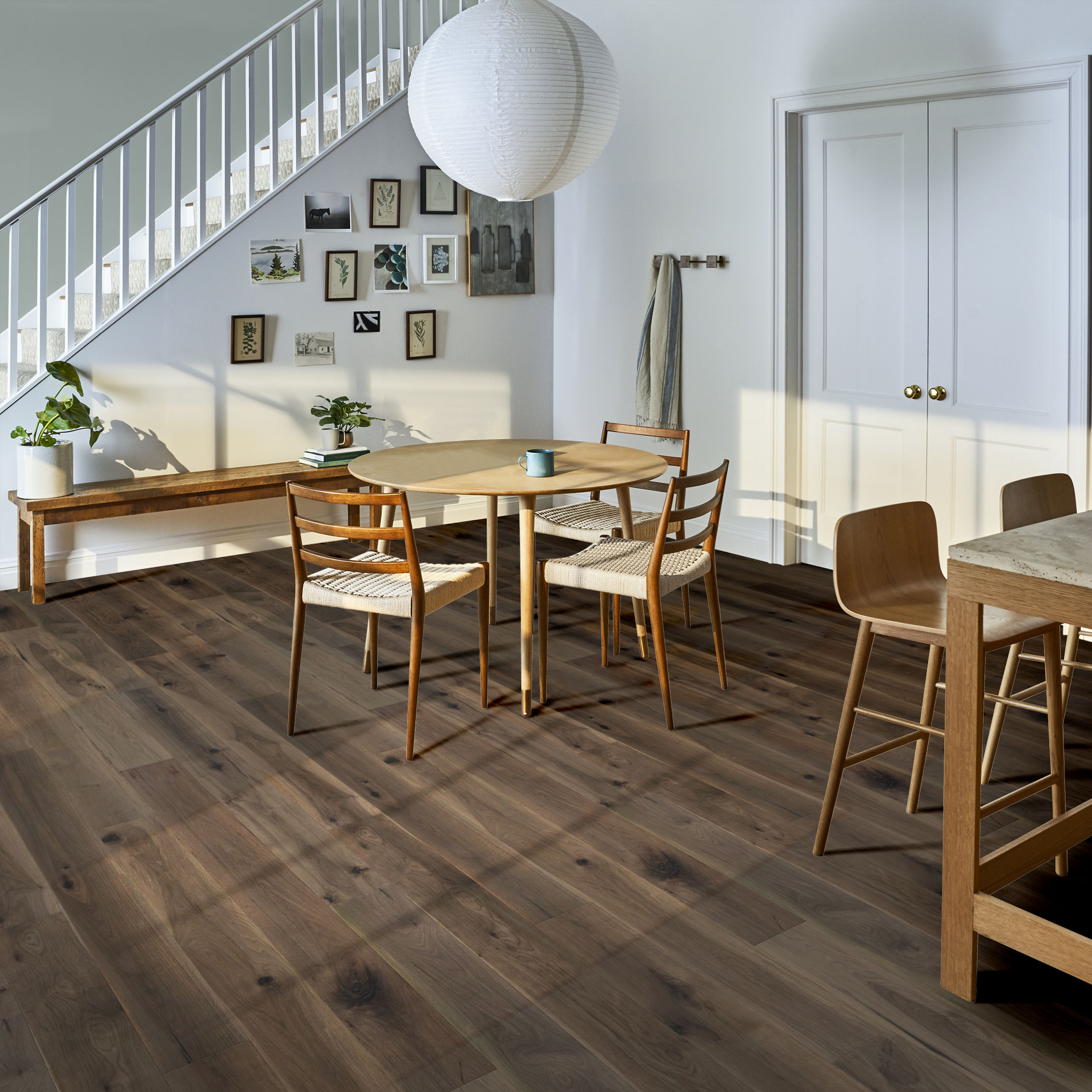 TRANSCENDENCE ELEVATION ROOM