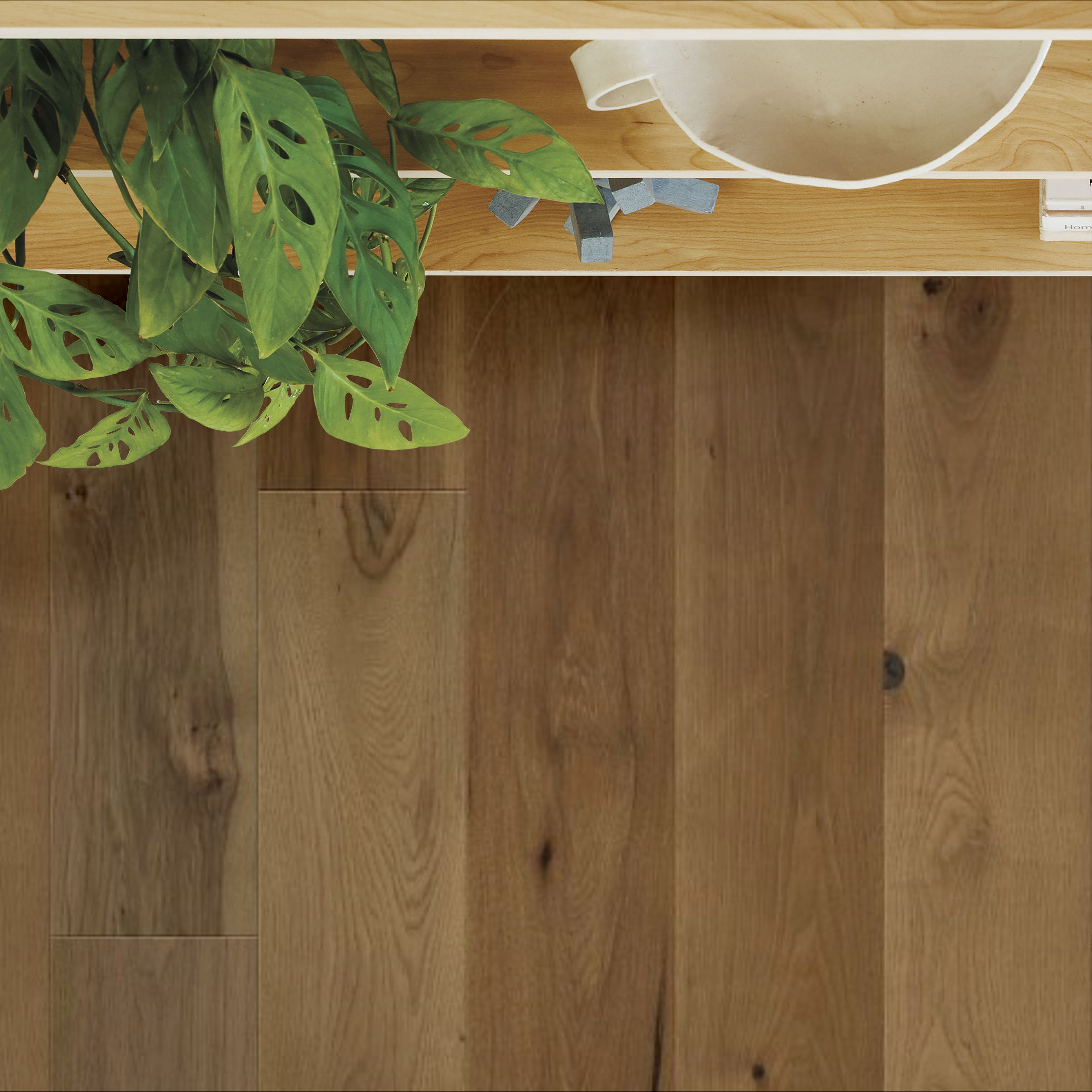 TRANSCENDENCE ASCENT ROOM