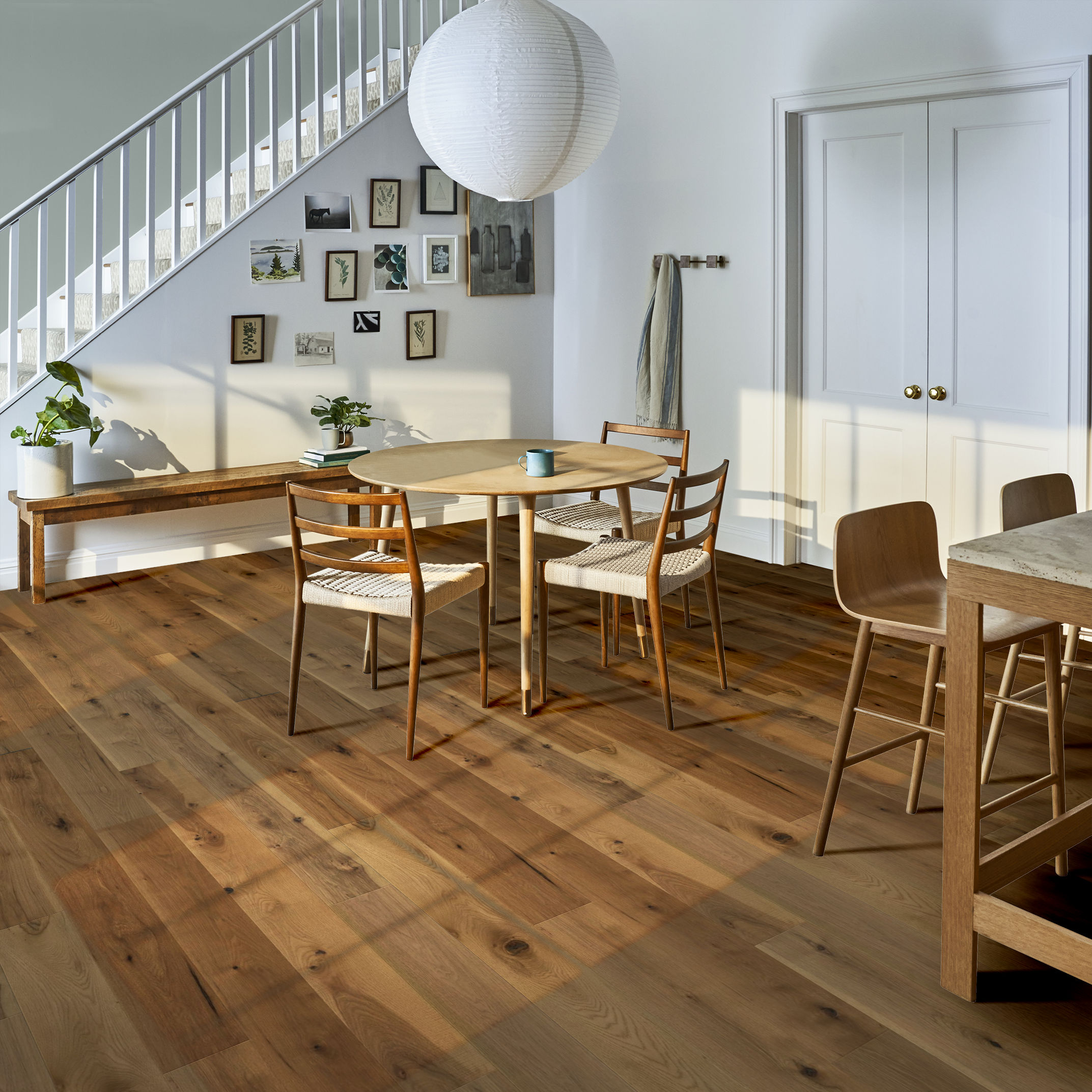 TRANSCENDENCE ASCENT ROOM