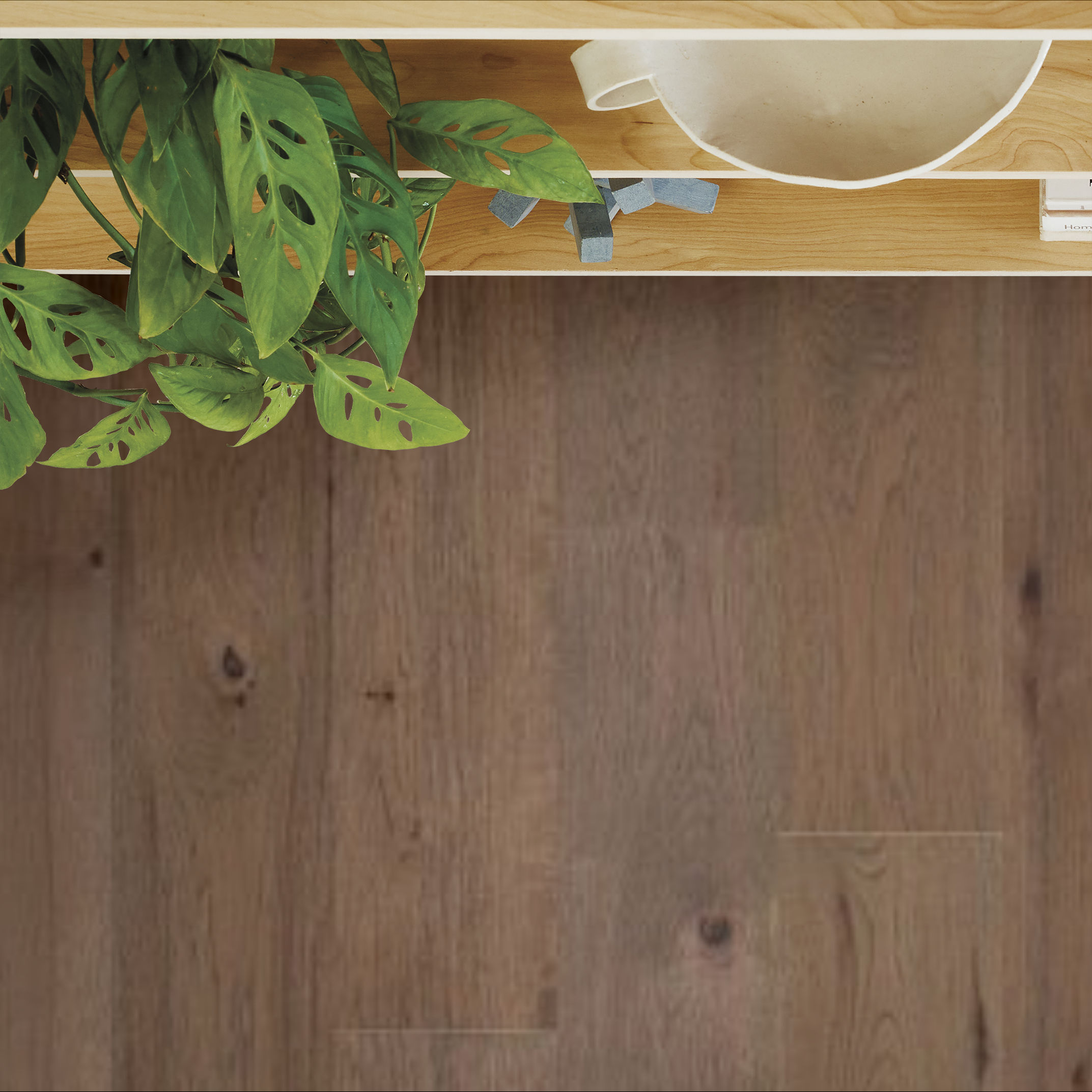 Imperial Pecan MUSHROOM ROOM