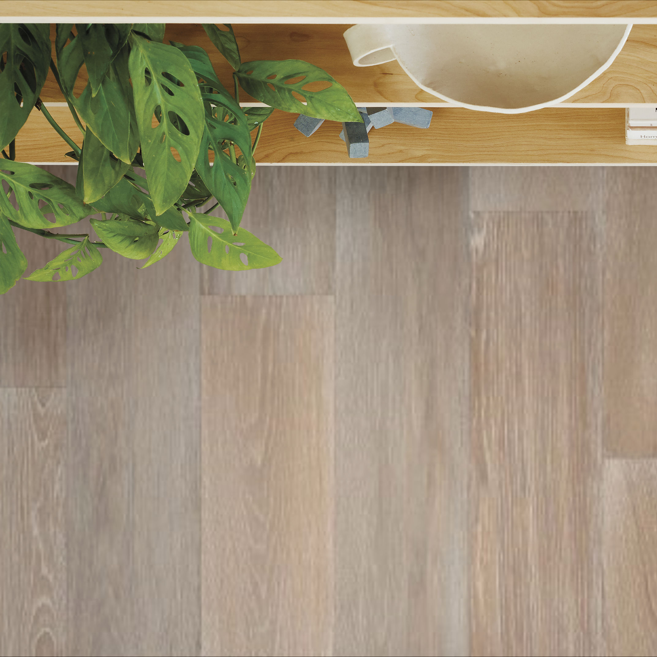 COAST TO COAST TIDEPOOL ROOM