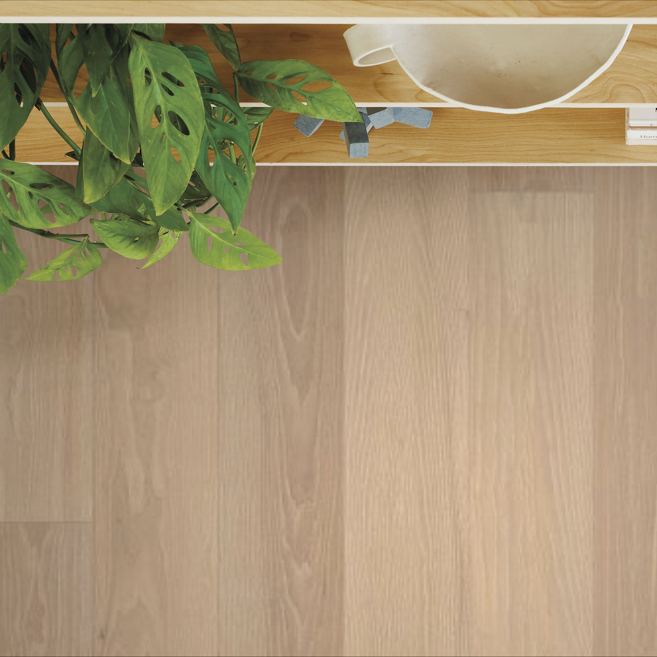 EUROPEAN ASH CARNIVAL ROOM