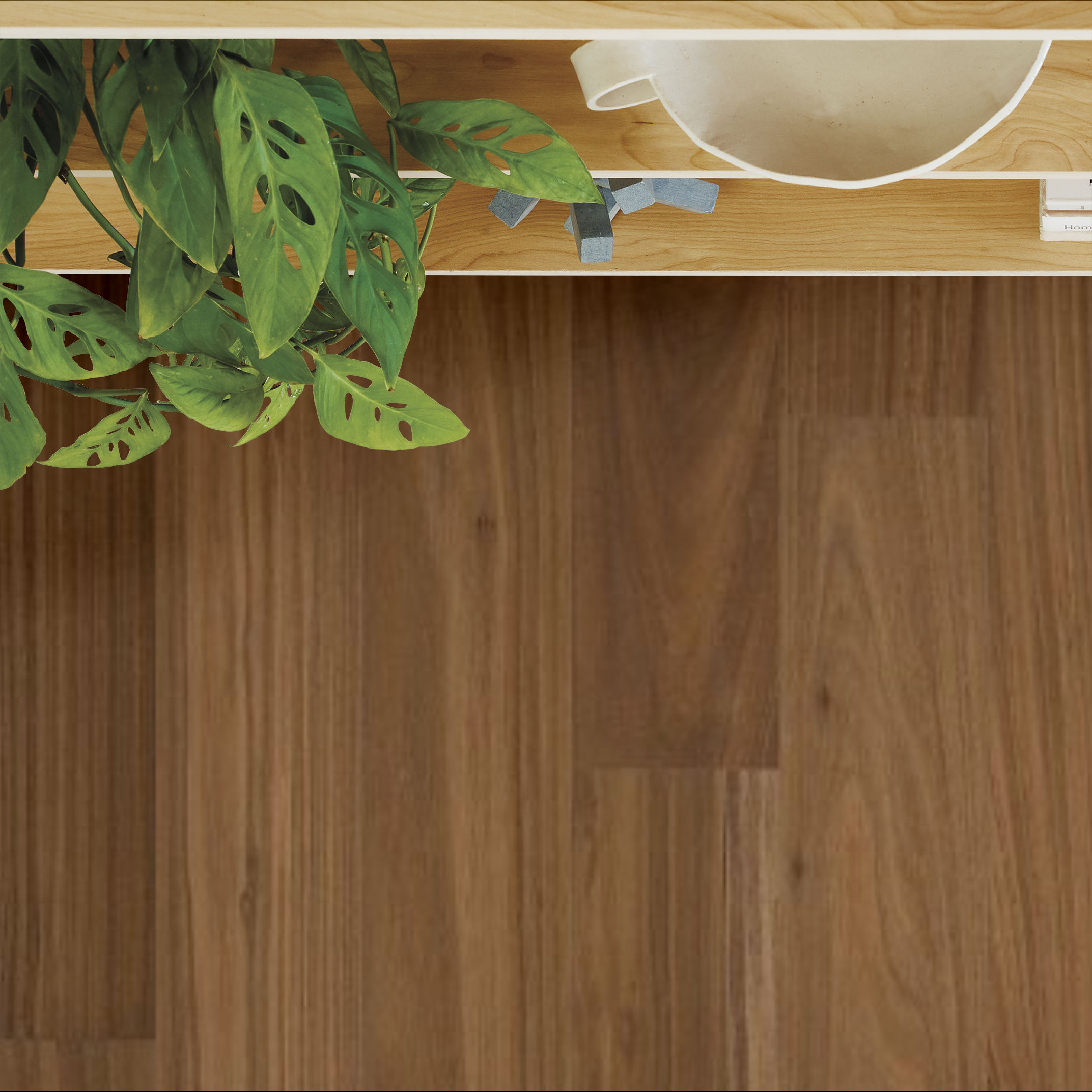 Valencia Walnut SEPIA ROOM