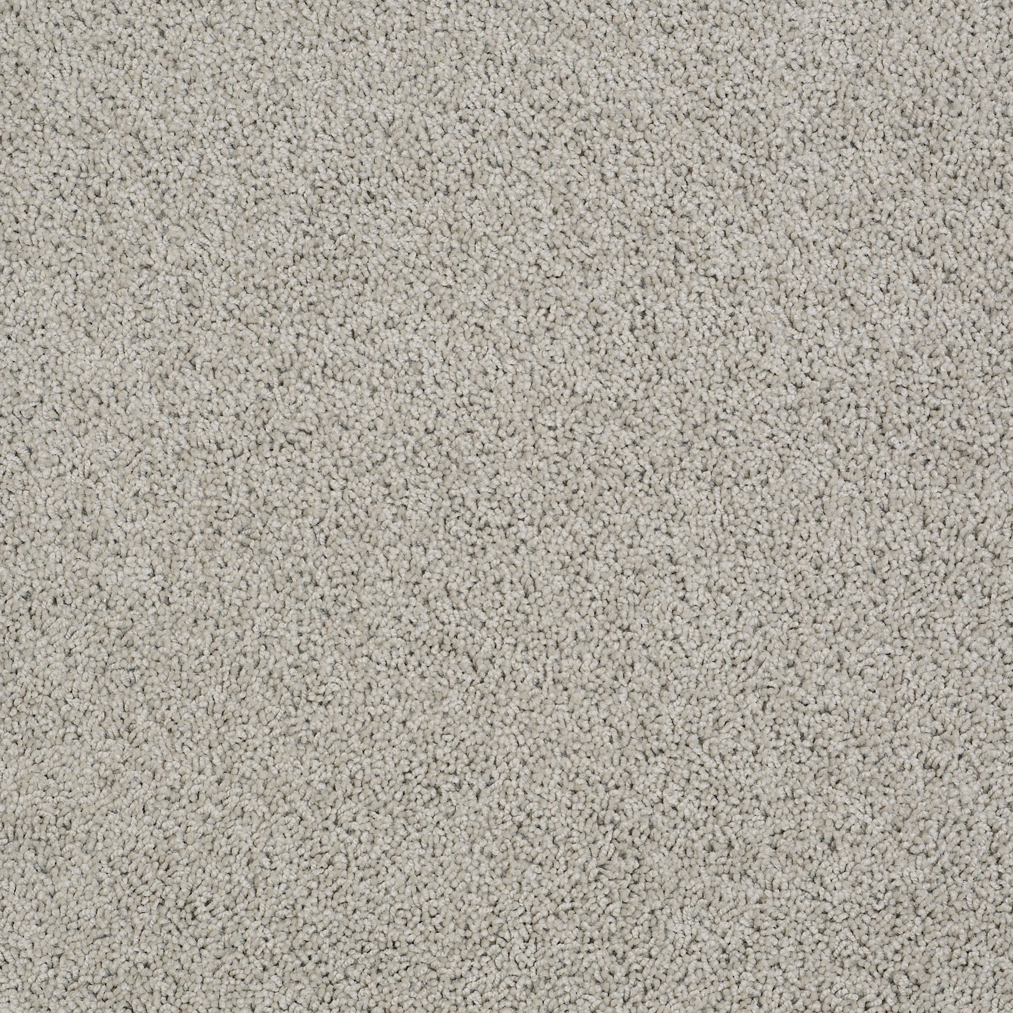 time_for_more gray_whisper carpets b21kb00515 Shaw Builder
