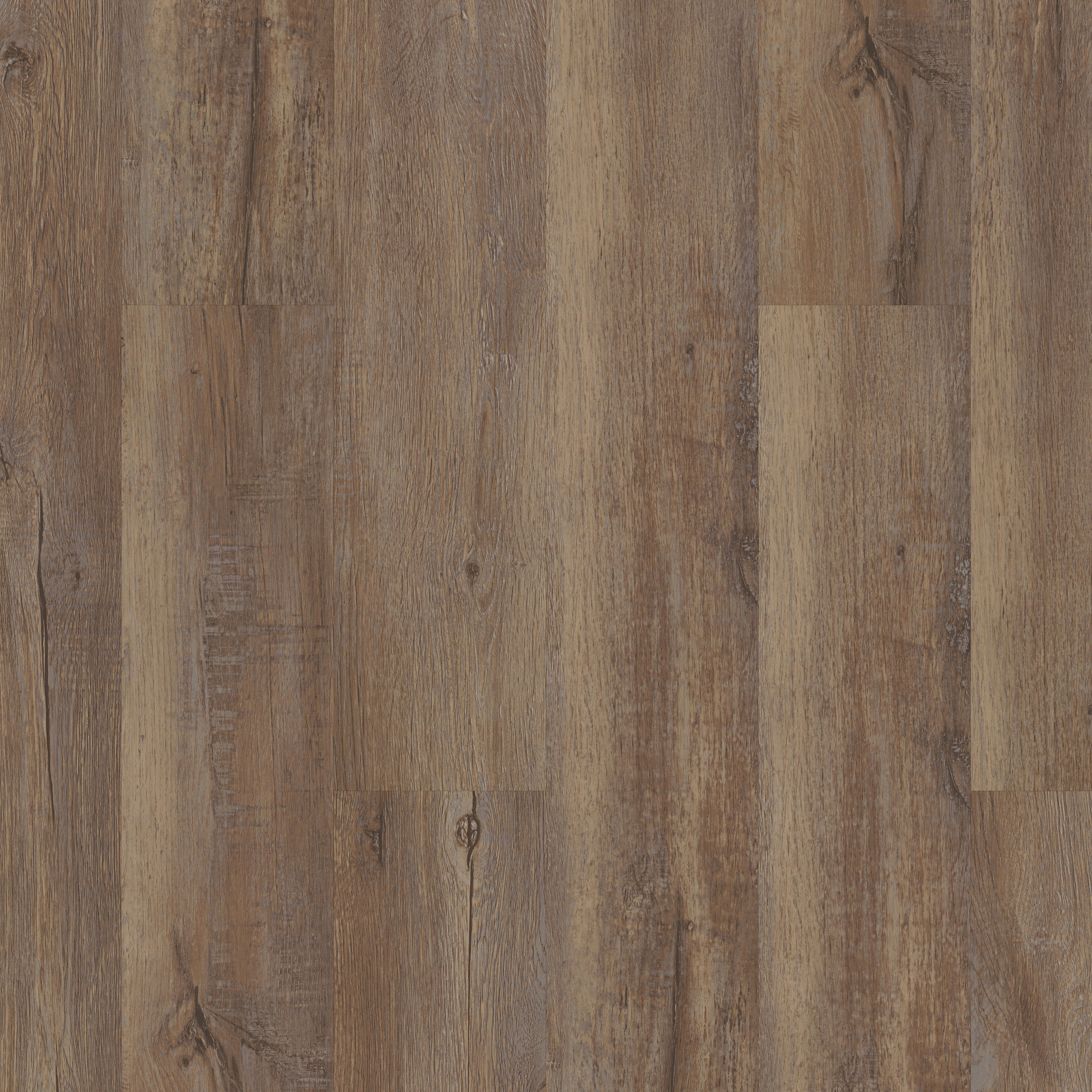 Bd300-Modeled Oak-BD300_00709
