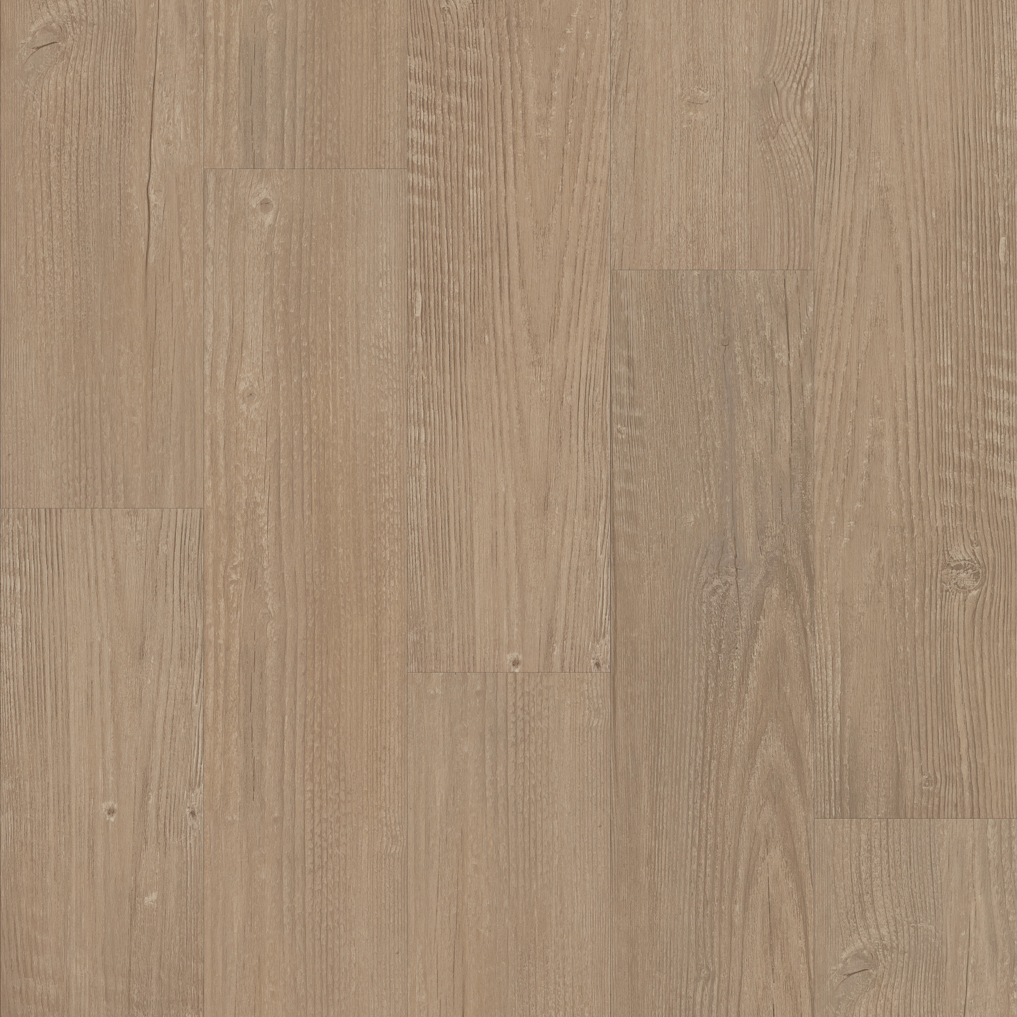 Bd301-Simple Wash-BD301_02083