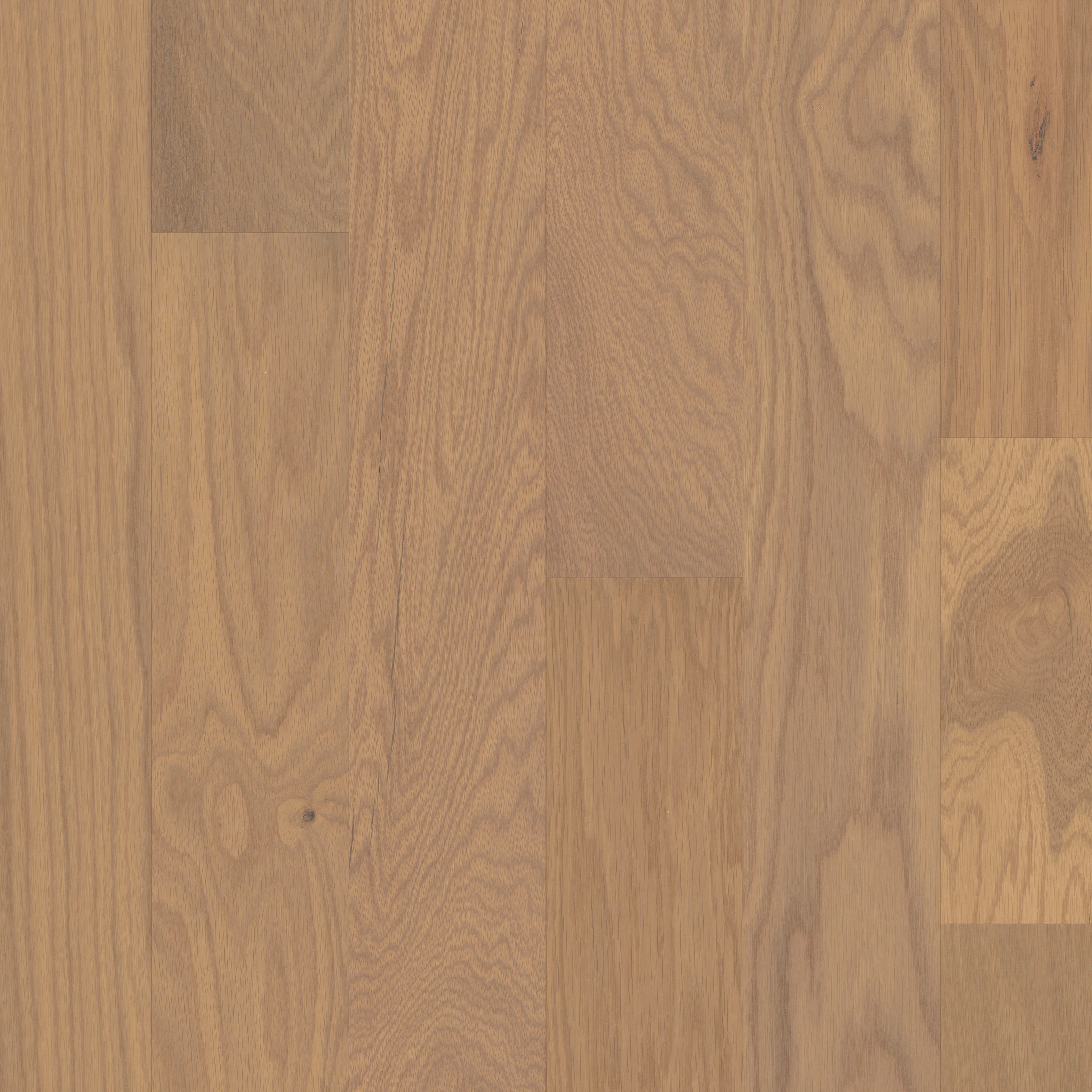 Bd600 - 1096 Oak - BD600_01096